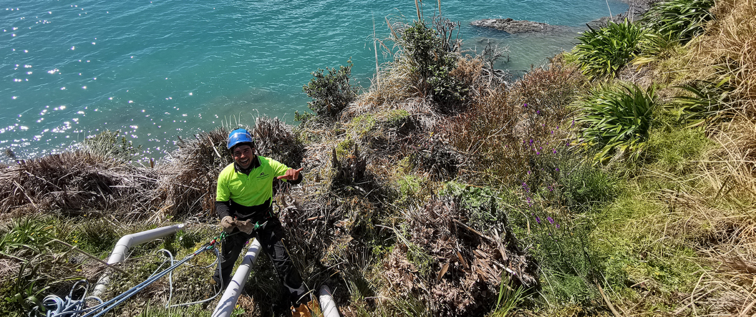 Image showing a Jessep Contracting worker abseiling down a cliff to carry out some cliff planting for a customer.