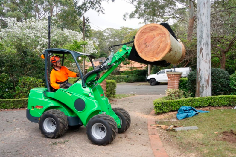 Image showing a worker operating an Avant 635 mini loader, lifting a large tree trunk.