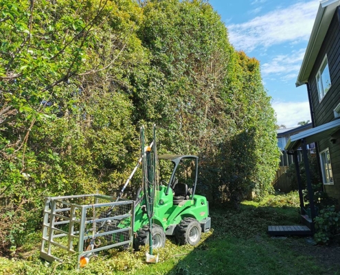 Image showing a Jessep Contracting machine sitting next to a large hedge that is in the process of being trimmed.