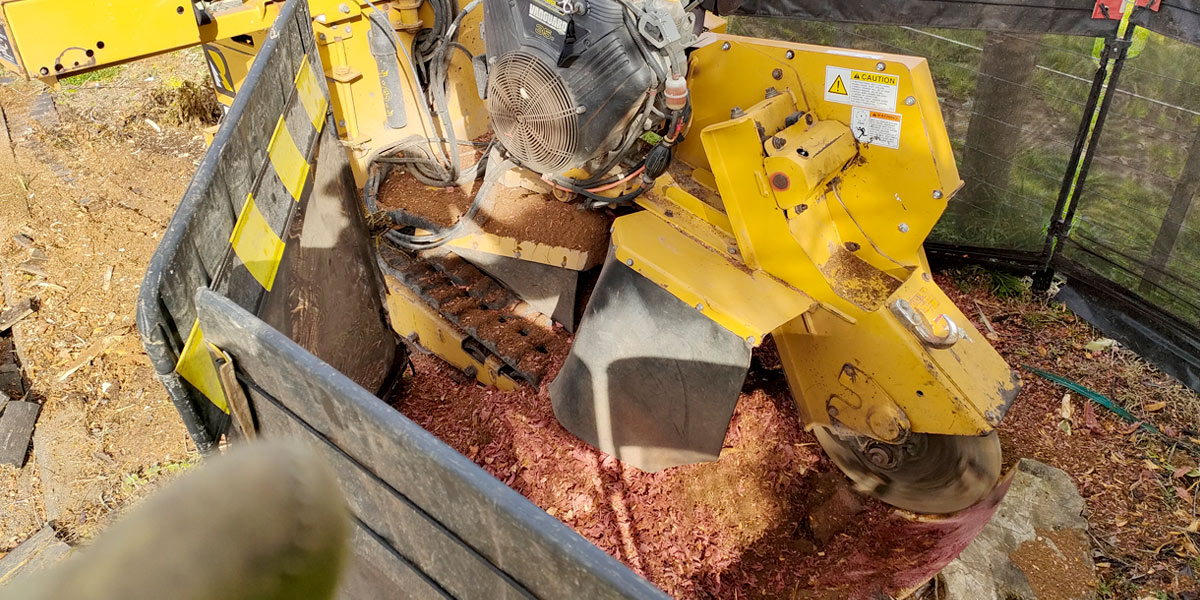 stump grinding