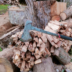 image of bundles of firewood kindling